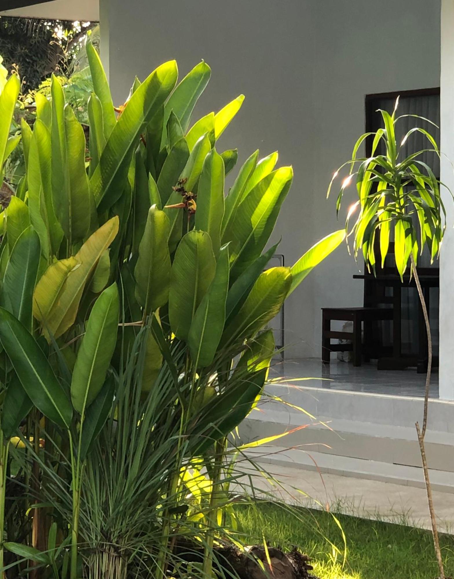 Maha Di Nusa Lembongan Exterior foto